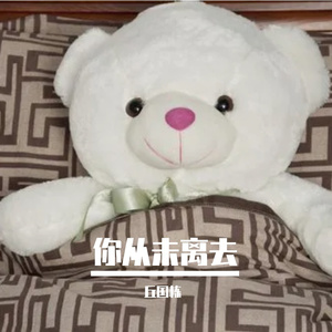 你从未离去