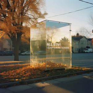 ALL STAR (HEAVY GAUGE VERSION)