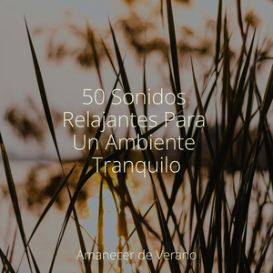 Melodía de Felicidad Encantada