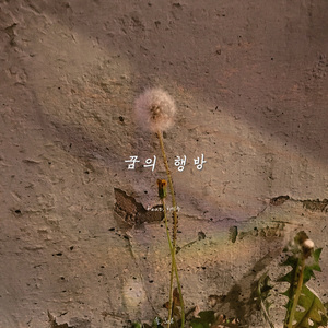 꿈의 행방