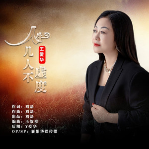 人生几人不虚度 (DJ默涵版)