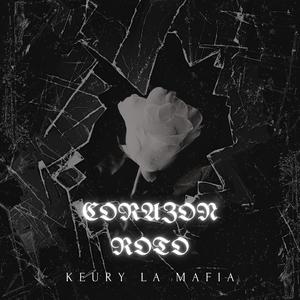 ME ROMPIERON EL CORAZON