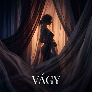 Vágy