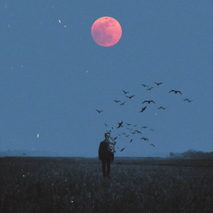 古巷深幽琴韵悠