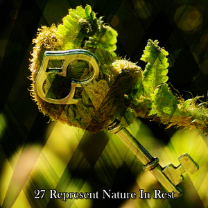 在大自然中散步