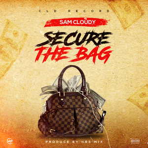 Secure The Bag