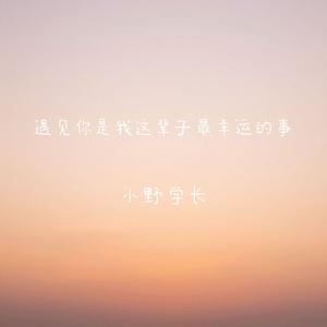 遇见你是我这辈子最幸运的事