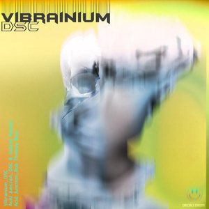 Vibrainium (Original Mix)