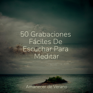 Ecos de Piedras Enigmáticas