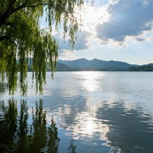 一万次春和景明 (Cover 白云)