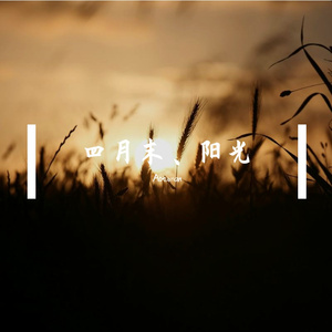 四月末、阳光