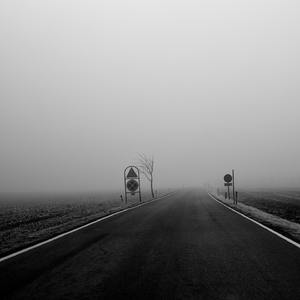 雪花 我的一生不变的爱