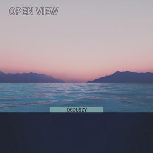Open View