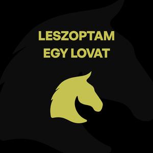 Leszoptam egy lovat