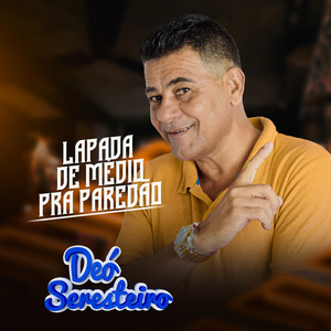 Vagabundinho Apaixonado