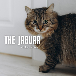 The Jaguar