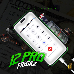 12 Pro