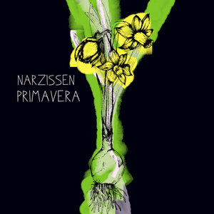 Narzissen/Primavera