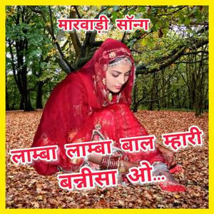 लाम्बा लाम्बा बाल म्हारी बन्नीसा ओ...