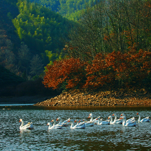 绿水青山就是金山银山