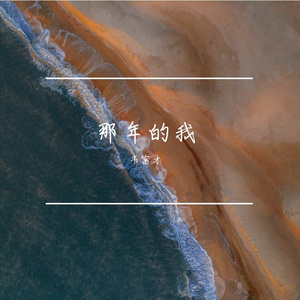 那年的我(伴奏)