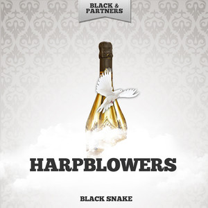 Up Country Blues (Original Mix)