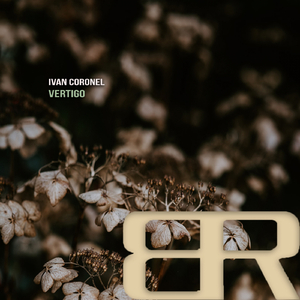 Vertigo (Original Mix)