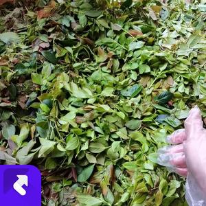 微笑的背后 (伴奏)