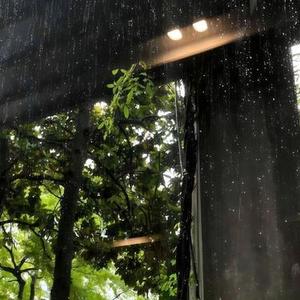 你的好坏我照单全收