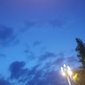 如果你只是爱上我的冷漠