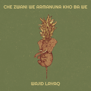 Che Zwani We Armanuna Kho Ba We