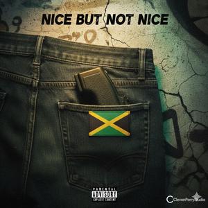 Nice But Not Nice