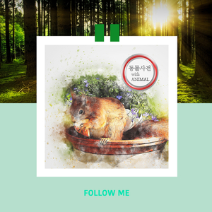 추운 새해에에도 따뜻한 팻