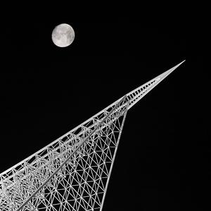 月が綺麗な夜だから