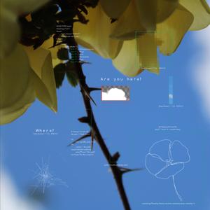 Peace (feat. Emily-Grace)