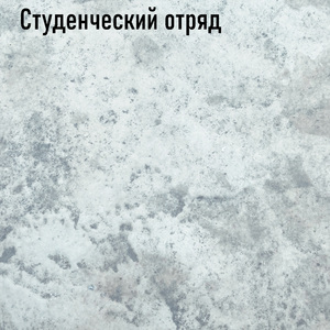 Студенческий отряд