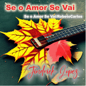 Se o Amor Se VAI/RobetoCarlos