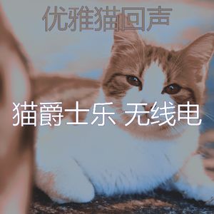 精彩小猫环境