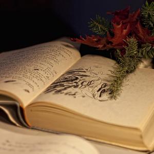 Anlatamıyorum (Üstad Misafirler: Orhan Veli Kanık)