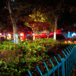 小公园的朋友们