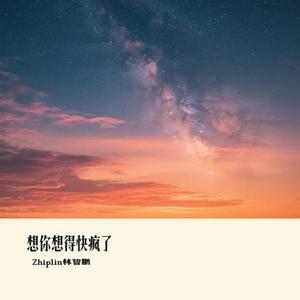 想你想得快疯了 (Cover 彭佳慧)