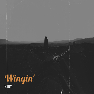 Wingin'