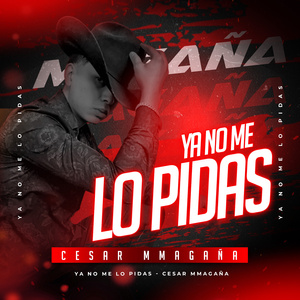 Ya No Me Lo Pidas