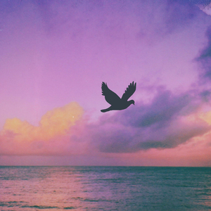 Each Moment More Than the Last