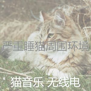 有趣小猫情怀