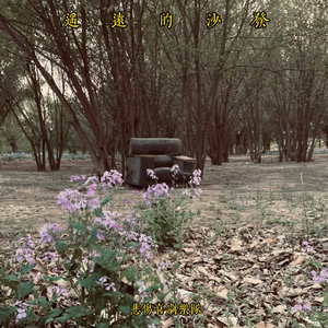 遥远的沙发(The Distant Sofa)