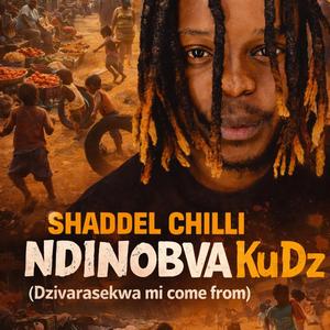 Ndinobva KuDz (DangerZone)