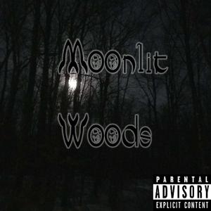 Mooonlit Woods