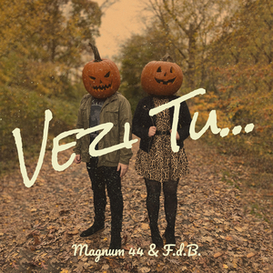 Vezi Tu...