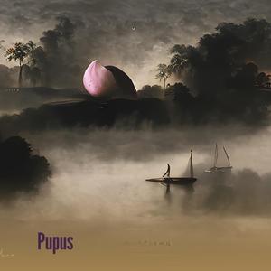 Pupus
